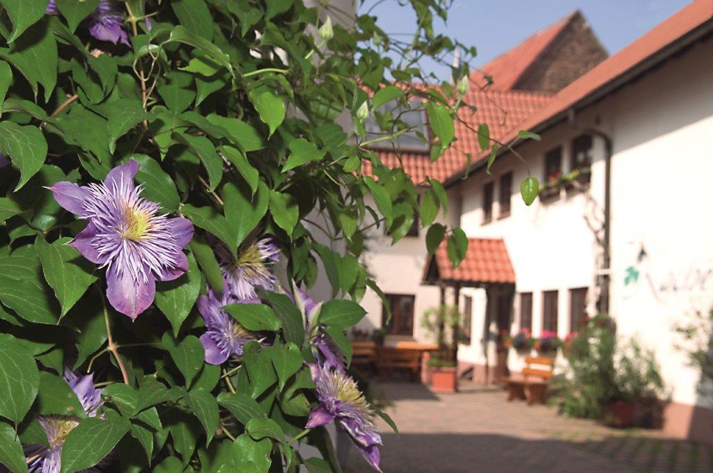 Pension Gaestehaus Kachelofa Vaihingen an der Enz Exterior foto